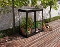 Växthus Ivy 133 x 63 cm Svart Canopia by Palram
